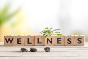 wooden blocks with the word wellness